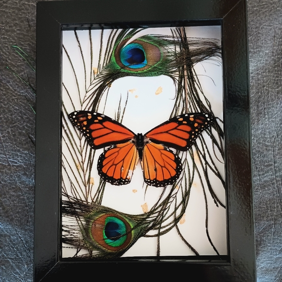 Wall Decor | Monarch Butterfly Shadowbox Message Before Buy | Poshmark